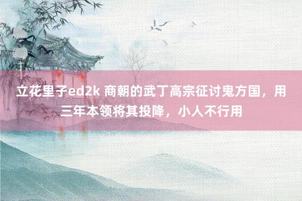 立花里子ed2k 商朝的武丁高宗征讨鬼方国，用三年本领将其投降，小人不行用