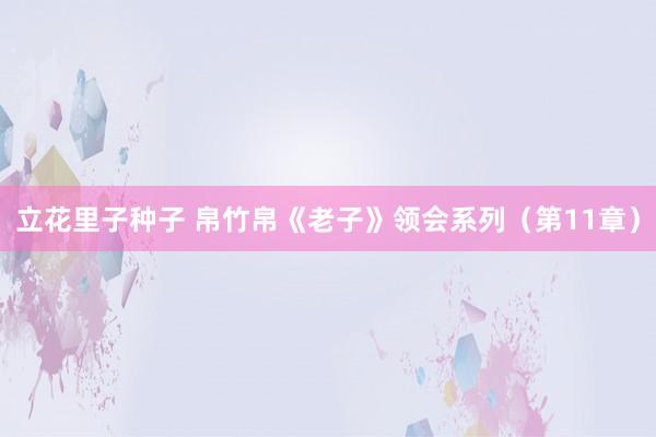 立花里子种子 帛竹帛《老子》领会系列（第11章）