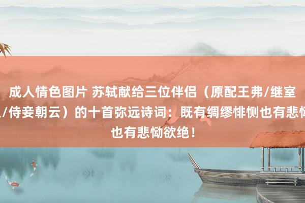 成人情色图片 苏轼献给三位伴侣（原配王弗/继室王闰之/侍妾朝云）的十首弥远诗词：既有绸缪悱恻也有悲恸欲绝！