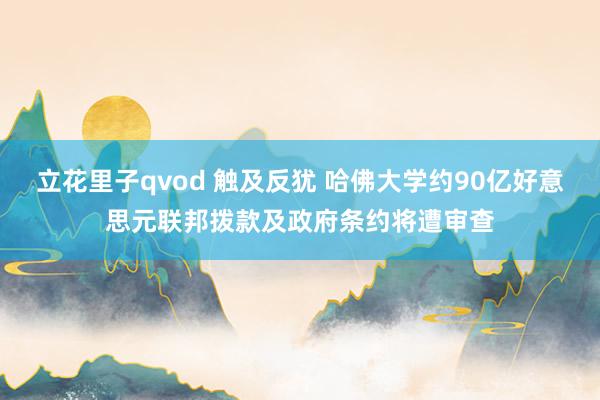 立花里子qvod 触及反犹 哈佛大学约90亿好意思元联邦拨款及政府条约将遭审查