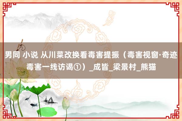 男同 小说 从川菜改换看毒害提振（毒害视窗·奇迹毒害一线访谒①）_成皆_梁景村_熊猫
