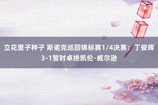 立花里子种子 斯诺克巡回锦标赛1/4决赛：丁俊晖3-1暂时卓绝凯伦-威尔逊