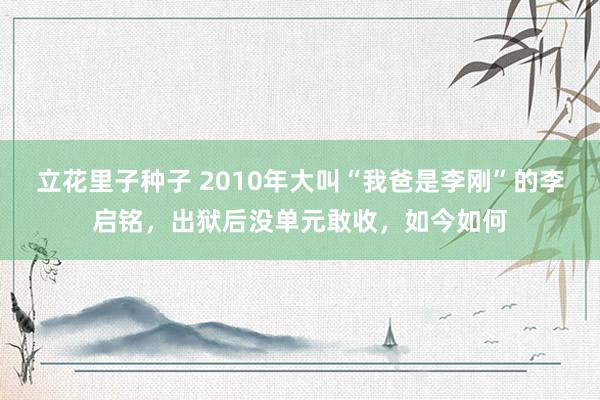 立花里子种子 2010年大叫“我爸是李刚”的李启铭，出狱后没单元敢收，如今如何