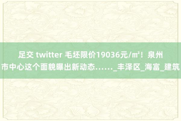足交 twitter 毛坯限价19036元/㎡！泉州市中心这个面貌曝出新动态……_丰泽区_海富_建筑