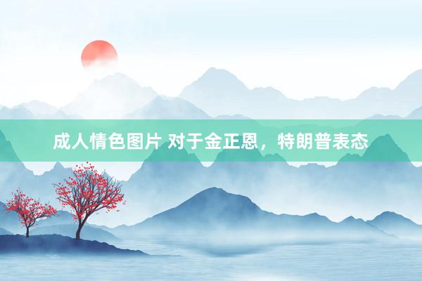 成人情色图片 对于金正恩，特朗普表态