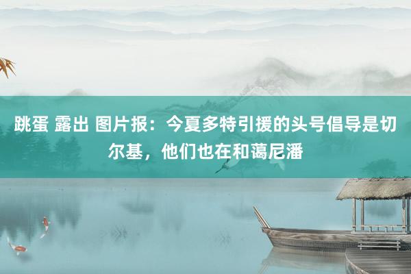 跳蛋 露出 图片报：今夏多特引援的头号倡导是切尔基，他们也在和蔼尼潘