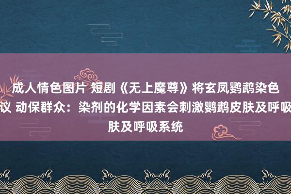 成人情色图片 短剧《无上魔尊》将玄凤鹦鹉染色引争议 动保群众：染剂的化学因素会刺激鹦鹉皮肤及呼吸系统