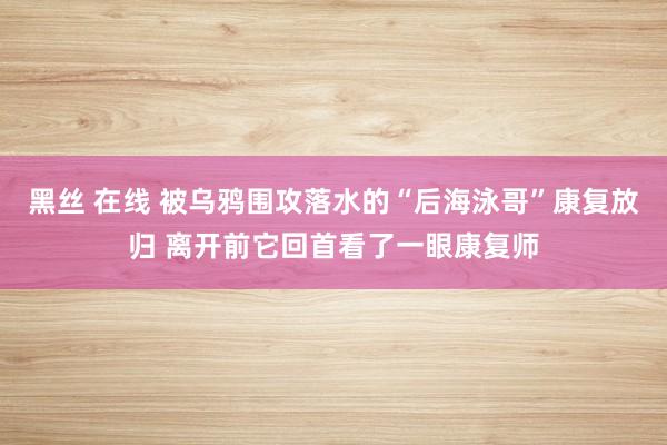 黑丝 在线 被乌鸦围攻落水的“后海泳哥”康复放归 离开前它回首看了一眼康复师