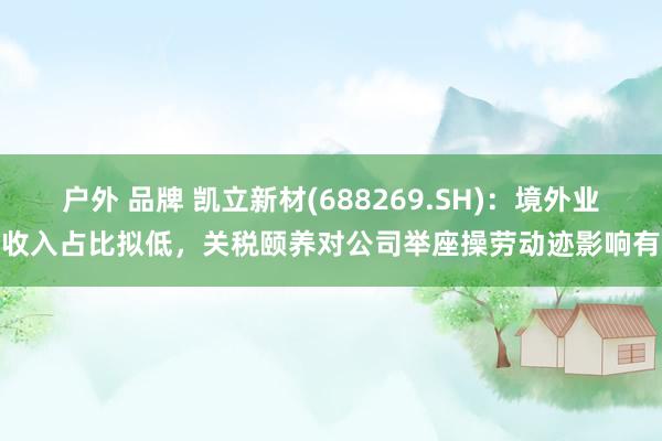 户外 品牌 凯立新材(688269.SH)：境外业务收入占比拟低，关税颐养对公司举座操劳动迹影响有限