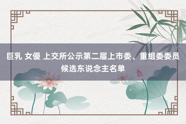 巨乳 女優 上交所公示第二届上市委、重组委委员候选东说念主名单
