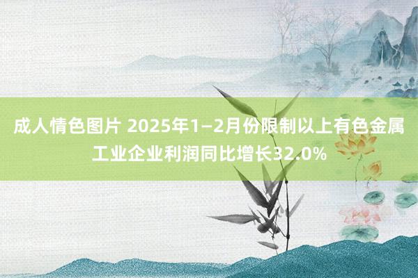 成人情色图片 2025年1—2月份限制以上有色金属工业企业利润同比增长32.0%