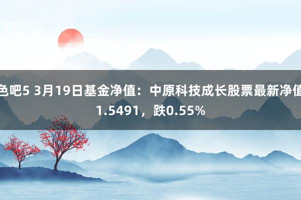 色吧5 3月19日基金净值：中原科技成长股票最新净值1.5491，跌0.55%