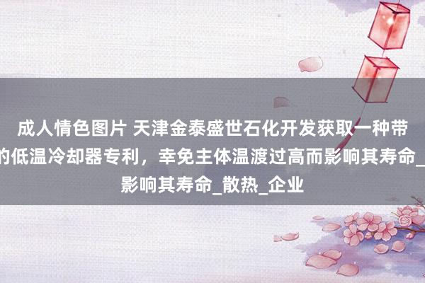 成人情色图片 天津金泰盛世石化开发获取一种带保护机构的低温冷却器专利，幸免主体温渡过高而影响其寿命_散热_企业