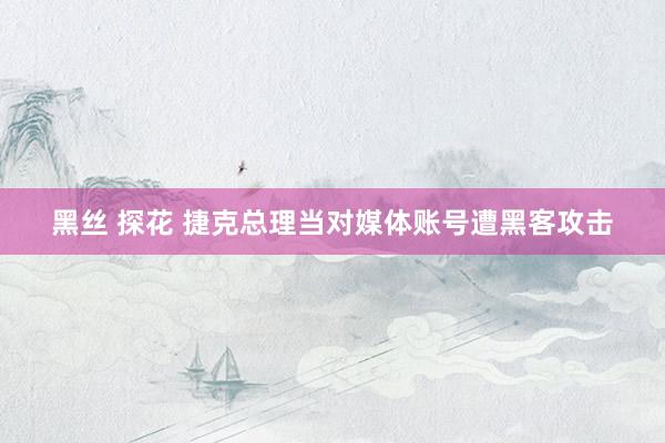 黑丝 探花 捷克总理当对媒体账号遭黑客攻击