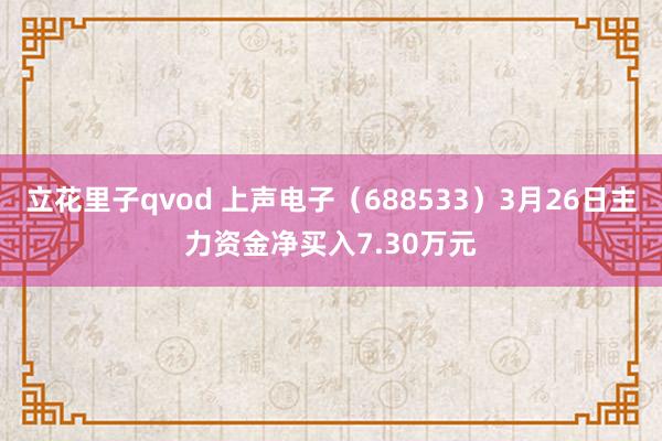 立花里子qvod 上声电子（688533）3月26日主力资金净买入7.30万元