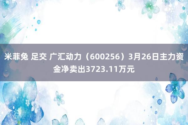 米菲兔 足交 广汇动力（600256）3月26日主力资金净卖出3723.11万元