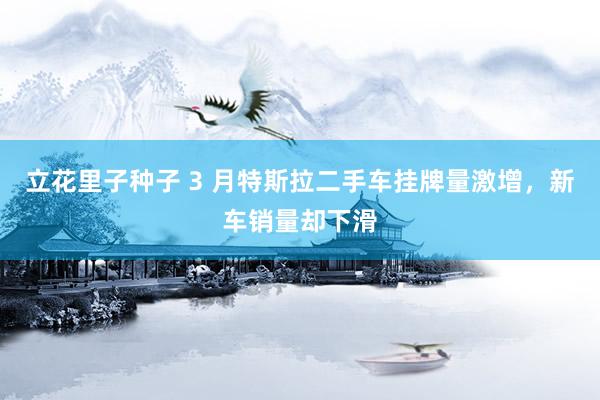 立花里子种子 3 月特斯拉二手车挂牌量激增，新车销量却下滑