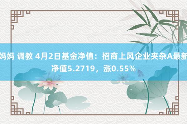 妈妈 调教 4月2日基金净值：招商上风企业夹杂A最新净值5.2719，涨0.55%
