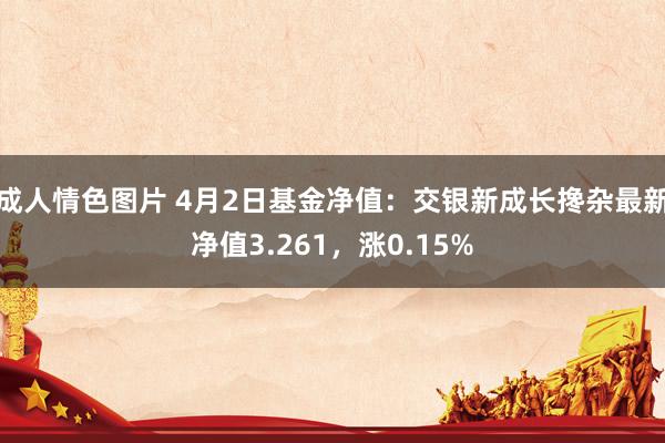 成人情色图片 4月2日基金净值：交银新成长搀杂最新净值3.261，涨0.15%