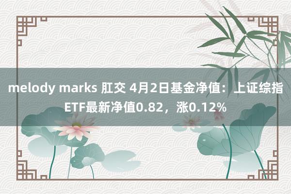 melody marks 肛交 4月2日基金净值：上证综指ETF最新净值0.82，涨0.12%