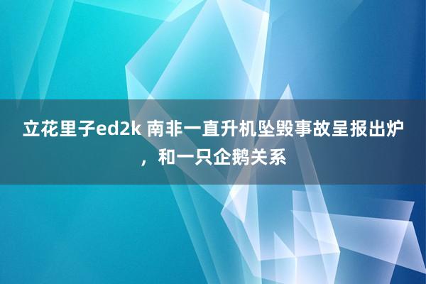 立花里子ed2k 南非一直升机坠毁事故呈报出炉，和一只企鹅关系