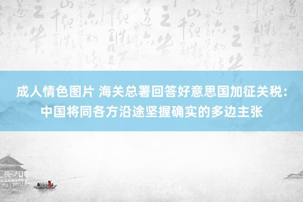 成人情色图片 海关总署回答好意思国加征关税：中国将同各方沿途坚握确实的多边主张