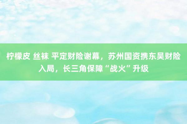 柠檬皮 丝袜 平定财险谢幕，苏州国资携东吴财险入局，长三角保障“战火”升级