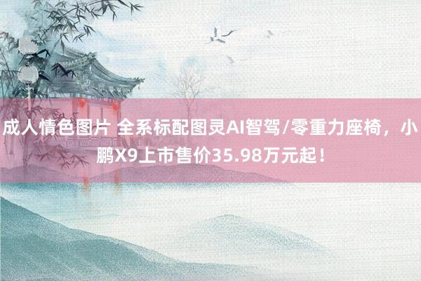 成人情色图片 全系标配图灵AI智驾/零重力座椅，小鹏X9上市售价35.98万元起！