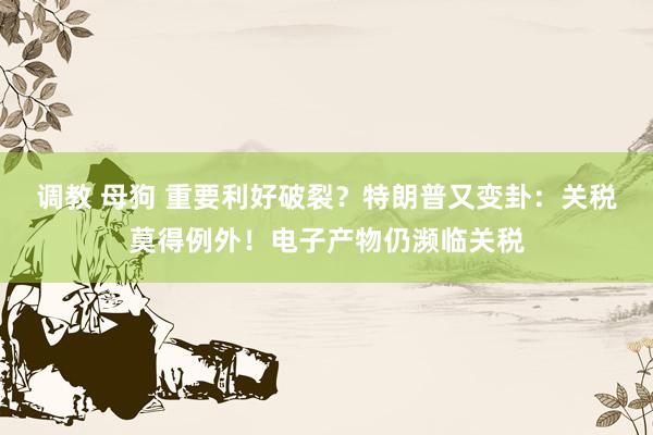 调教 母狗 重要利好破裂？特朗普又变卦：关税莫得例外！电子产物仍濒临关税
