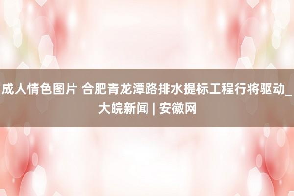 成人情色图片 合肥青龙潭路排水提标工程行将驱动_大皖新闻 | 安徽网