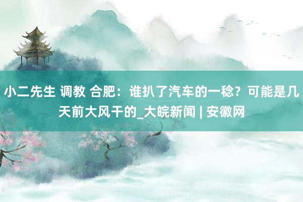 小二先生 调教 合肥：谁扒了汽车的一稔？可能是几天前大风干的_大皖新闻 | 安徽网