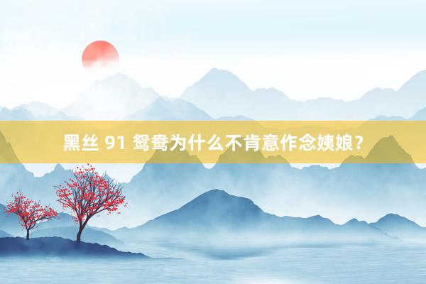 黑丝 91 鸳鸯为什么不肯意作念姨娘？