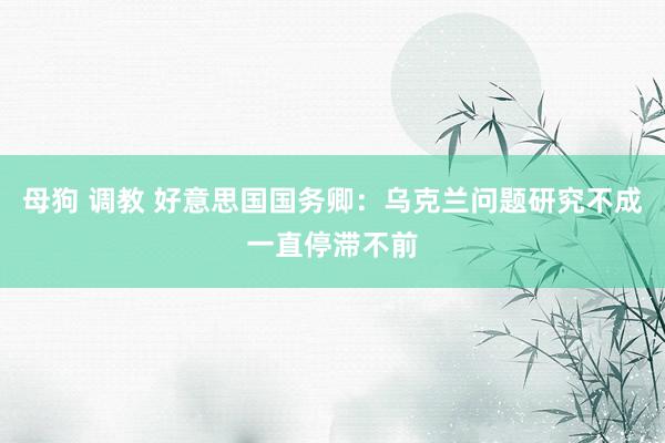 母狗 调教 好意思国国务卿：乌克兰问题研究不成一直停滞不前