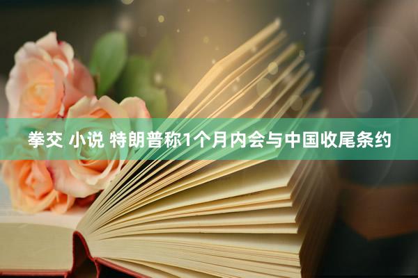 拳交 小说 特朗普称1个月内会与中国收尾条约