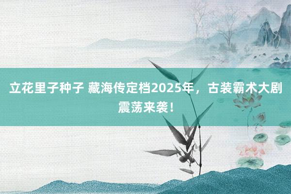立花里子种子 藏海传定档2025年，古装霸术大剧震荡来袭！