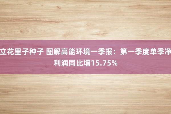 立花里子种子 图解高能环境一季报：第一季度单季净利润同比增15.75%