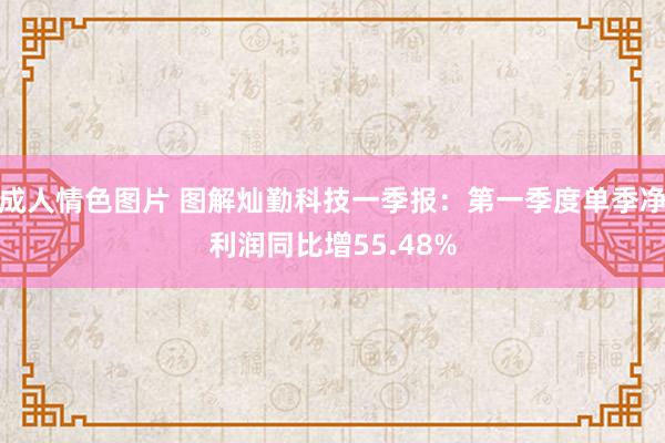 成人情色图片 图解灿勤科技一季报：第一季度单季净利润同比增55.48%