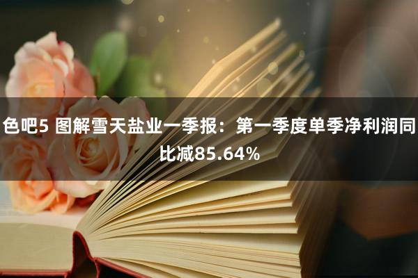 色吧5 图解雪天盐业一季报：第一季度单季净利润同比减85.64%