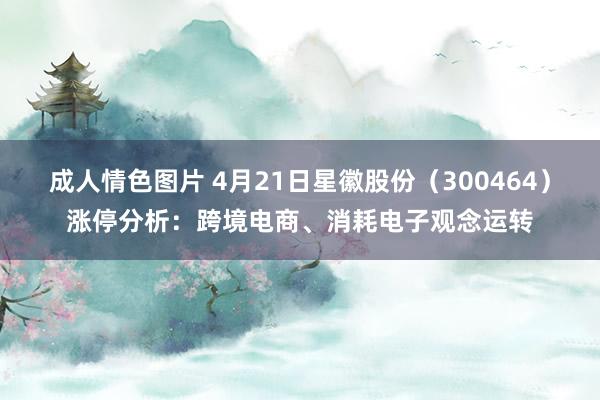 成人情色图片 4月21日星徽股份（300464）涨停分析：跨境电商、消耗电子观念运转