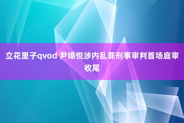 立花里子qvod 尹锡悦涉内乱罪刑事审判首场庭审收尾