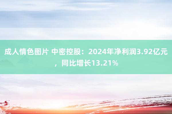 成人情色图片 中密控股：2024年净利润3.92亿元，同比增长13.21%