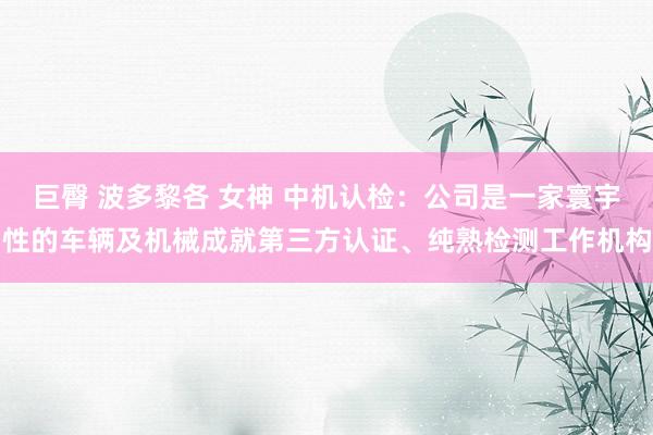 巨臀 波多黎各 女神 中机认检：公司是一家寰宇性的车辆及机械成就第三方认证、纯熟检测工作机构