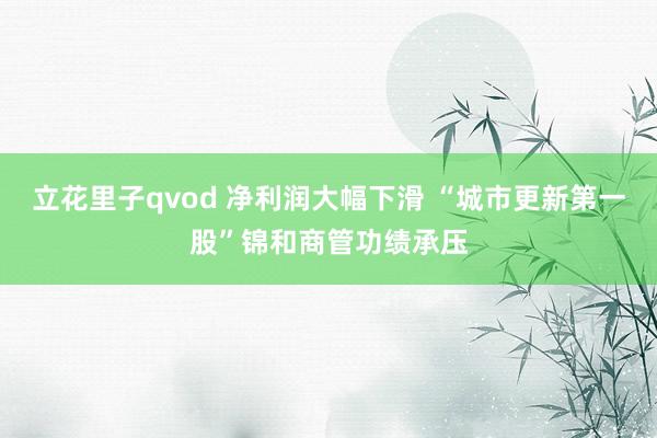 立花里子qvod 净利润大幅下滑 “城市更新第一股”锦和商管功绩承压