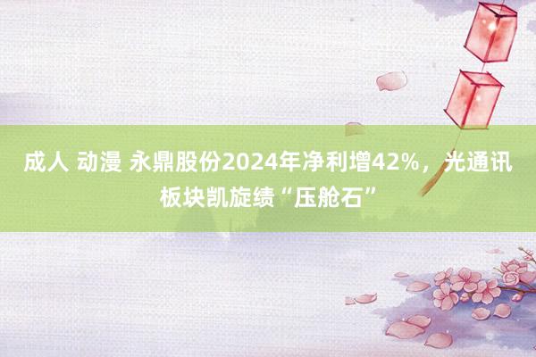 成人 动漫 永鼎股份2024年净利增42%，光通讯板块凯旋绩“压舱石”