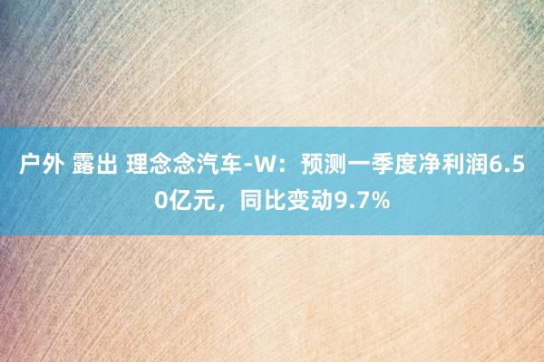 户外 露出 理念念汽车-W：预测一季度净利润6.50亿元，同比变动9.7%
