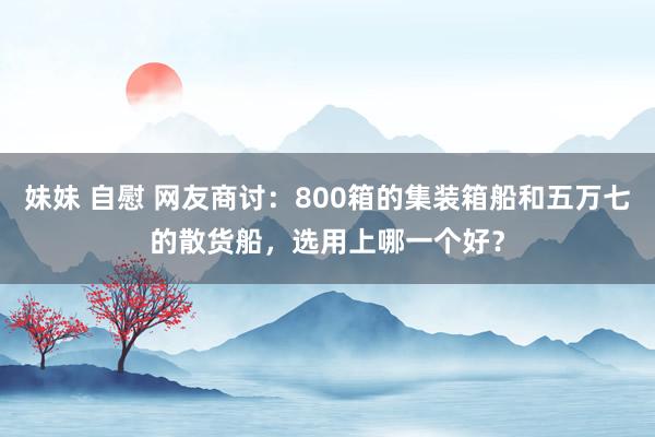 妹妹 自慰 网友商讨：800箱的集装箱船和五万七的散货船，选用上哪一个好？