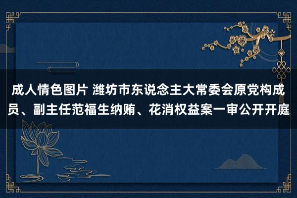 成人情色图片 潍坊市东说念主大常委会原党构成员、副主任范福生纳贿、花消权益案一审公开开庭