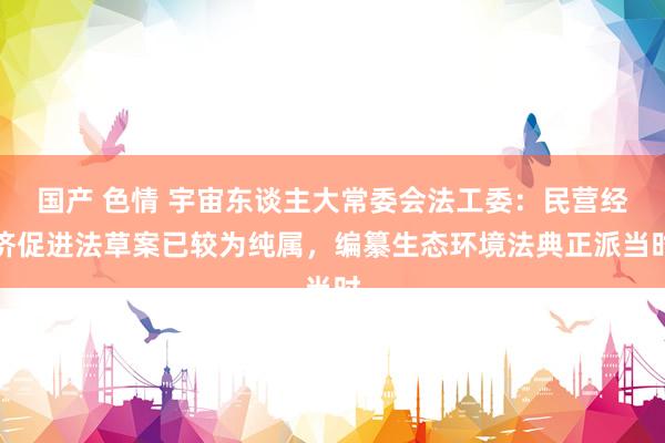 国产 色情 宇宙东谈主大常委会法工委：民营经济促进法草案已较为纯属，编纂生态环境法典正派当时