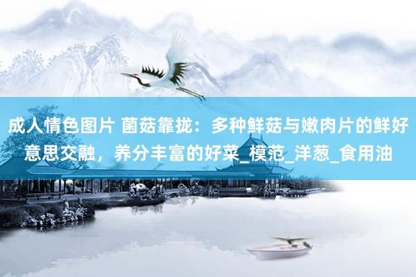 成人情色图片 菌菇靠拢：多种鲜菇与嫩肉片的鲜好意思交融，养分丰富的好菜_模范_洋葱_食用油