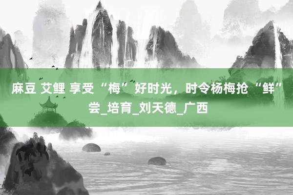 麻豆 艾鲤 享受 “梅” 好时光，时令杨梅抢 “鲜” 尝_培育_刘天德_广西